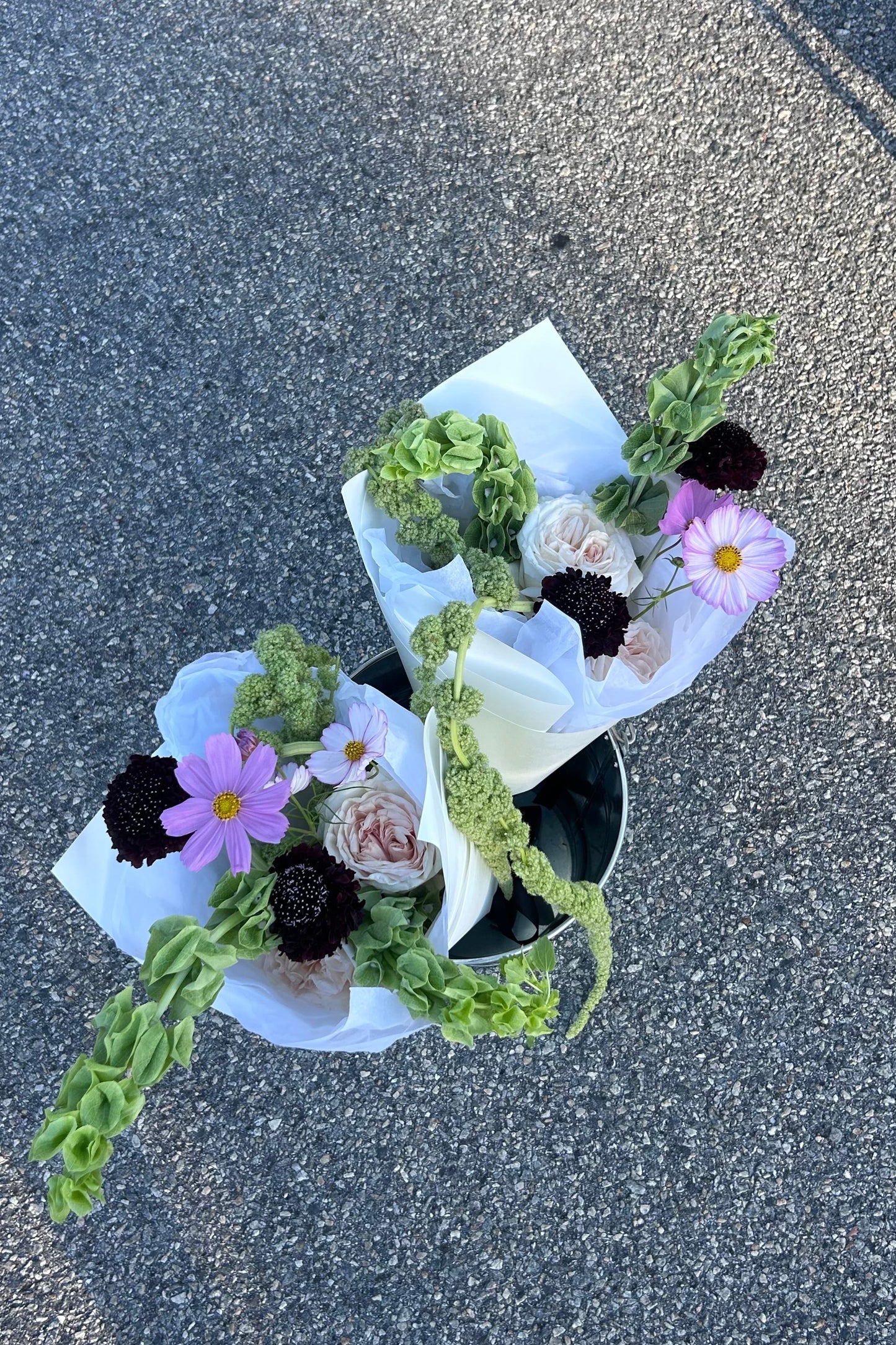 MEDIUM BUNCH